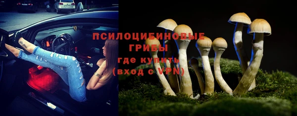 молекула духа Алзамай