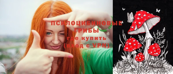 молекула духа Алзамай