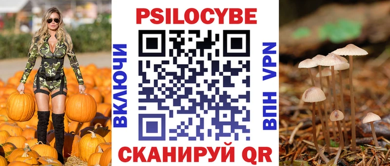 Галлюциногенные грибы мухоморы  МЕГА как зайти  Дмитров 