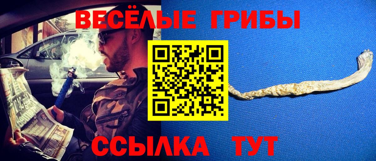 Галлюциногенные грибы прущие грибы Дмитров