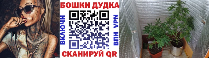мега tor  купить наркотики сайты  Дмитров  Каннабис план 